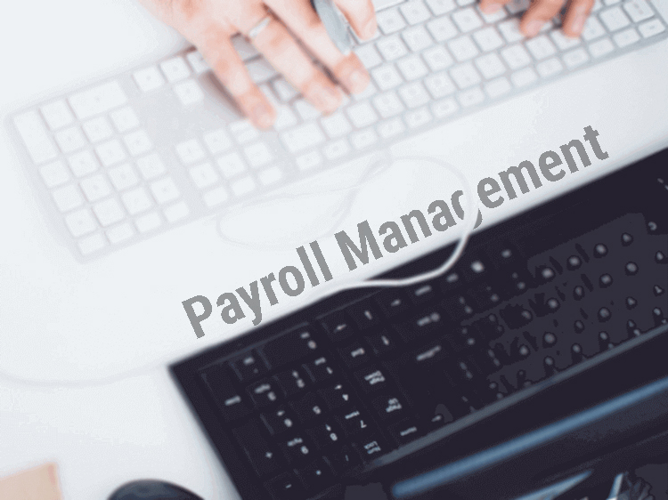 How Payroll Systems work