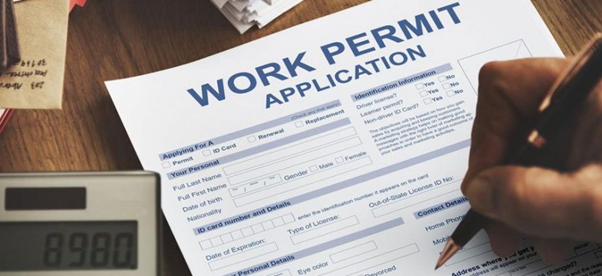Opportunities to have work permit application for young people