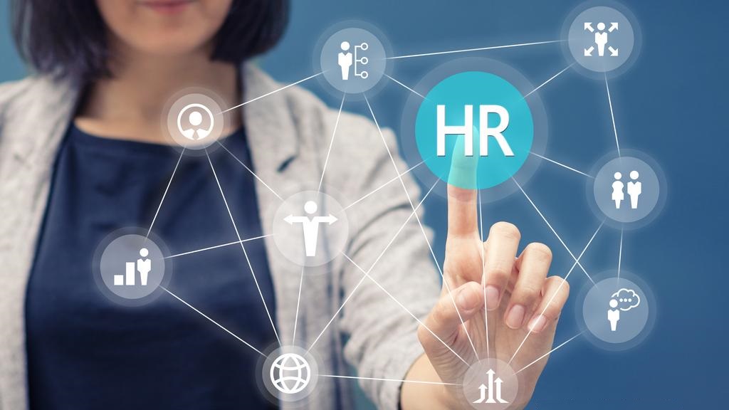 What can HR service companies do for businesses?
