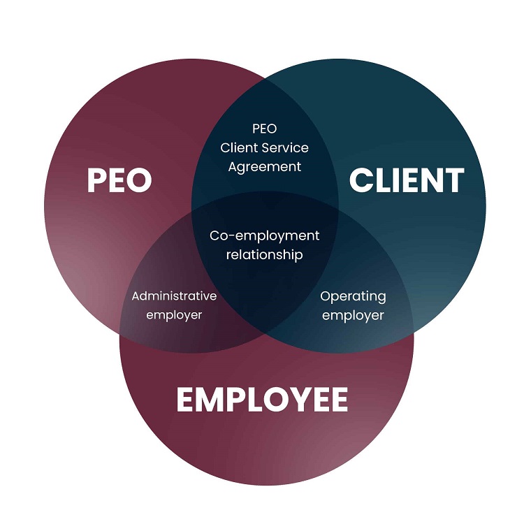 Professional_Employer_Organization